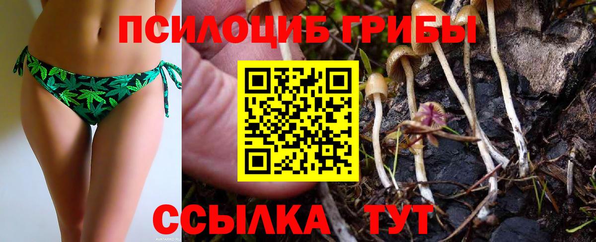 Галлюциногенные грибы Magic Shrooms  купить закладку  Тимашёвск  Вход с VPN 